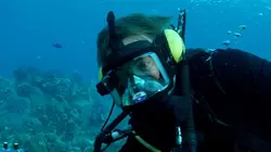 Cooper's Treasure, un trésor vu de l'espace