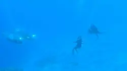 Cooper's Treasure, un trésor vu de l'espace De l'or !