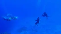 Cooper's Treasure, un trésor vu de l'espace Cible mouvante