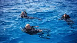 Cooper's Treasure, un trésor vu de l'espace De l'or !