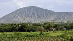 Visuel de Corne d'Afrique, la route de tous les trafics