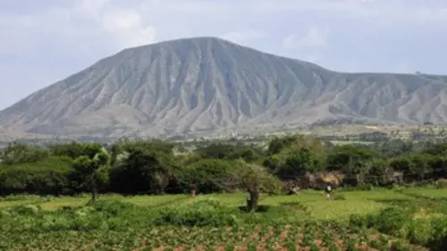 Corne d'Afrique, la route de tous les trafics