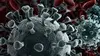 Coronavirus : ennemi public n°1