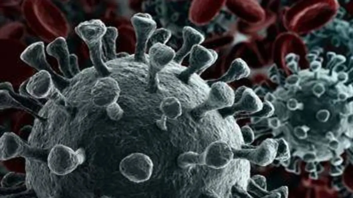 Coronavirus : ennemi public n°1