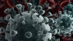 Sur Discovery Channel à 22h25 : Coronavirus : ennemi public n°1