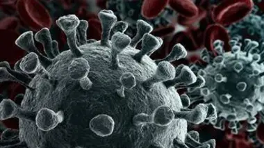 Coronavirus : ennemi public n°1