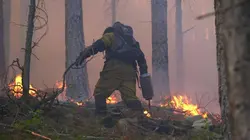 Corse, les maquisards du feu