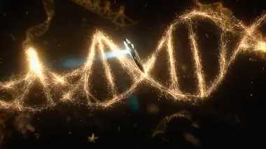 Cosmos : une odyssée à travers l'univers S01E11 Les Immortels