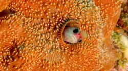 Costa Rica : Le réveil de la nature