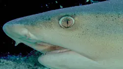 Costa Rica : Le réveil de la nature