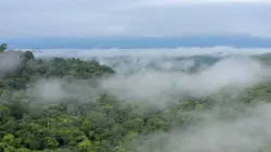 Costa Rica : Le réveil de la nature