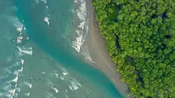 Costa Rica : Le réveil de la nature