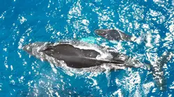 Costa Rica : Le réveil de la nature