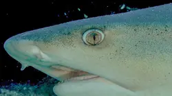 Costa Rica : Le réveil de la nature