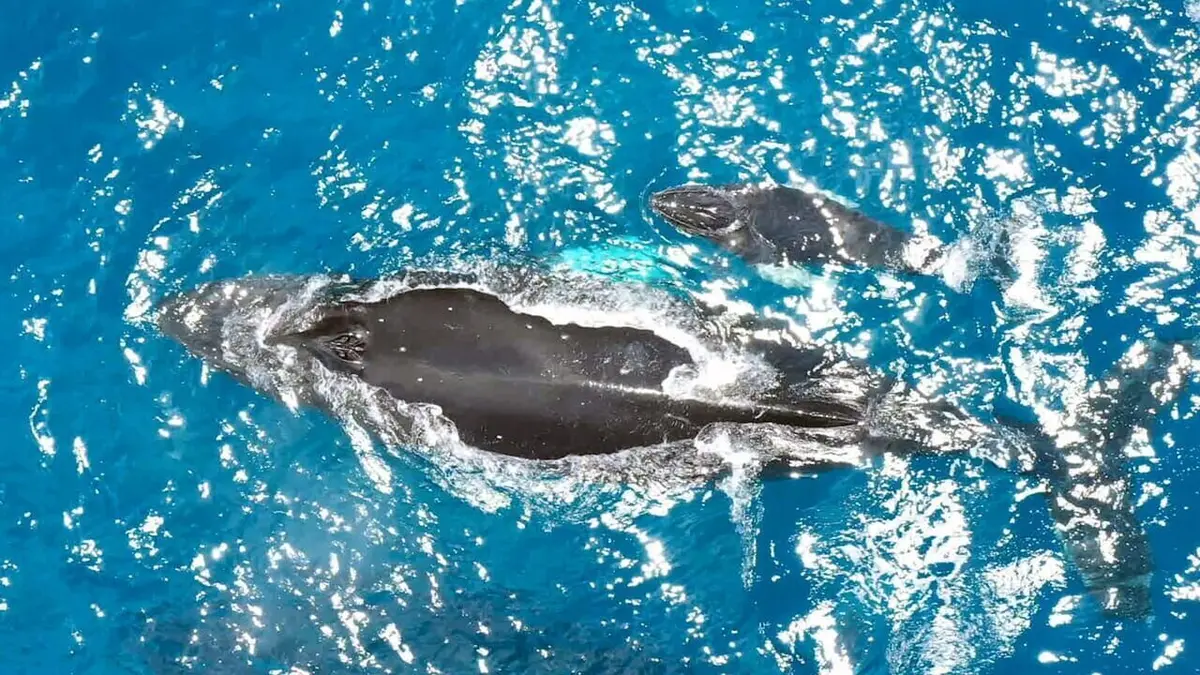 Costa Rica : Le réveil de la nature