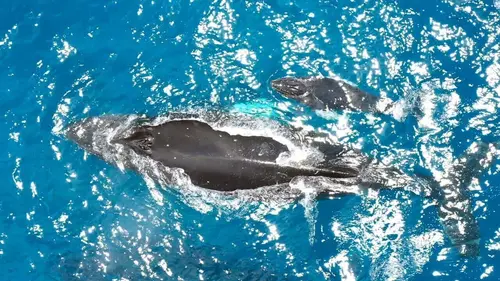 Costa Rica : Le réveil de la nature