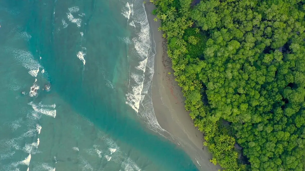 Costa Rica : Le réveil de la nature