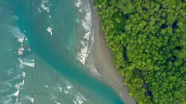 Costa Rica : Le réveil de la nature S01E01 La renaissance de la forêt sèche