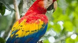 Visuel de Costa Rica, une arche de nature