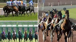 Sur Equidia à 21h00 : Côté courses