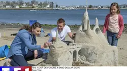 Coup de foudre à Sand Dollar Cove