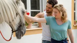 Coup de foudre en Andalousie