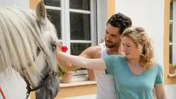 Coup de foudre en Andalousie