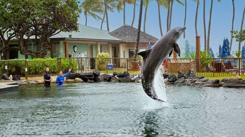 Coup de foudre sous l'océan