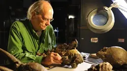 Visuel de Coup de jeune sur les dinos