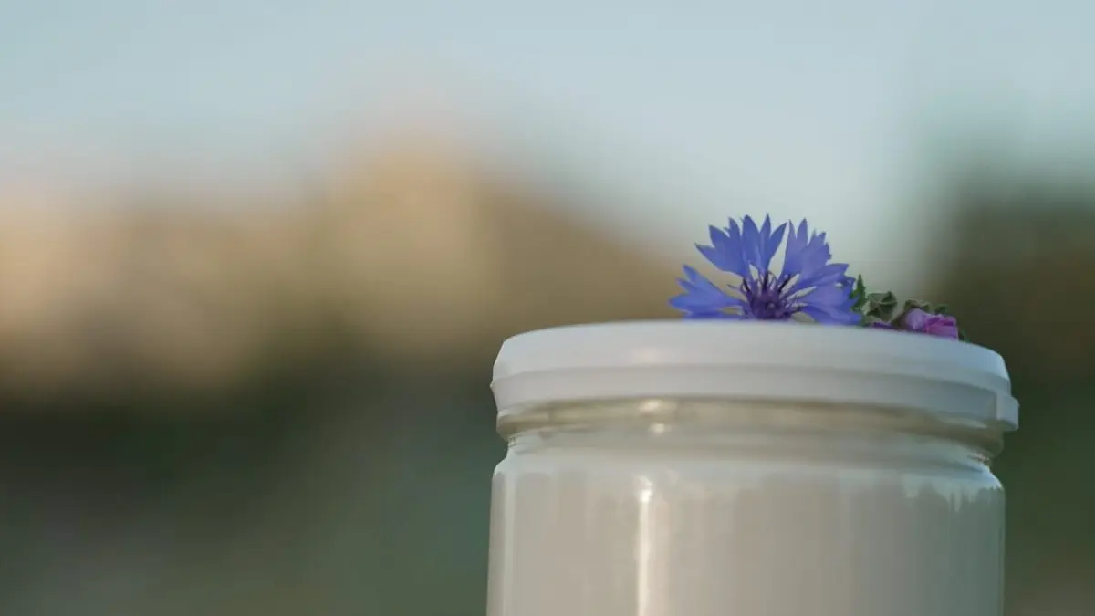 Coup de pot pour le yaourt