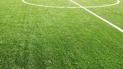 Coupe du monde 2022 : le film des Bleus