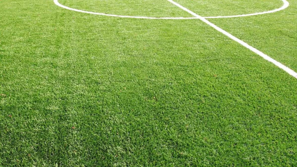 Coupe du monde