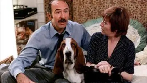 Cours après moi que je t'attrape en streaming