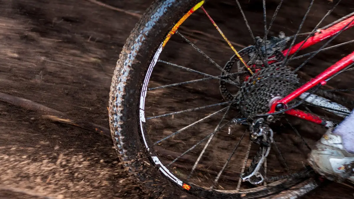 course Elite dames VTT Championnats d'Europe 2024