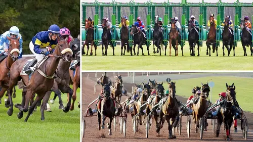 Courses de légendes