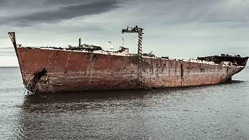 Court-circuit Spécial écoles francophones