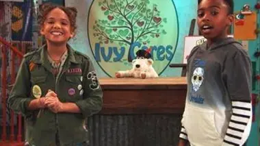 L'installation. - L'arrivée. - SOS animaux