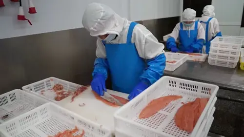 Coûte que coûte Le saumon : méfiez-vous des apparences !