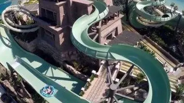 Au coeur des zoos aquatiques