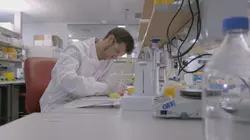 Covid-19, la course aux vaccins