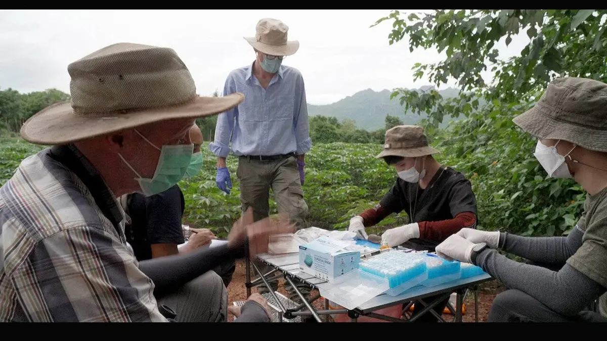 Covid 19, la quête des origines