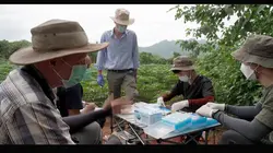 Covid 19, la quête des origines