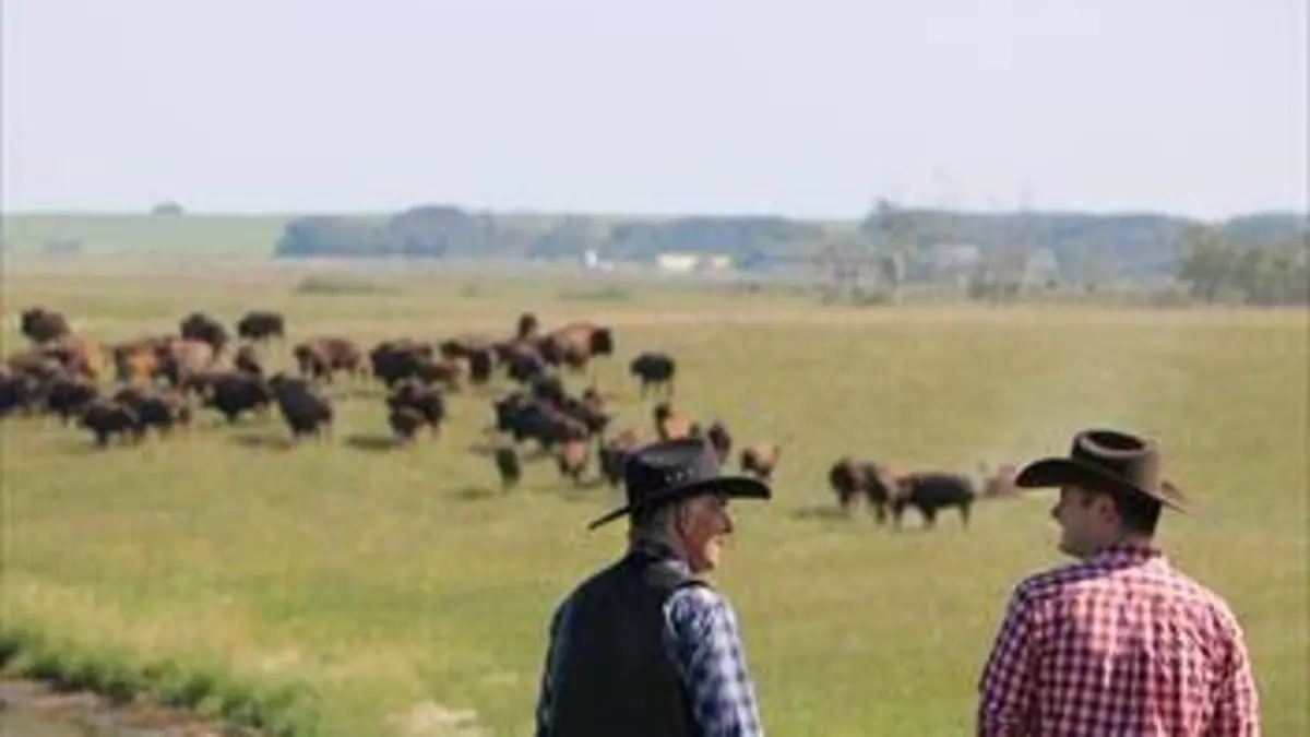 Cow-boy urbain Une histoire de famille