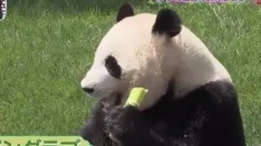 Partez à l'aventure dans le parc animalier Adventure World !