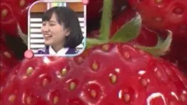 À l'hôtel ou à la serre, partons à la cueillette de fraises !