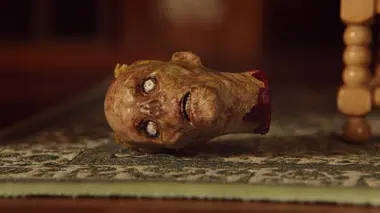 Journal d'un survivant / Survivor type