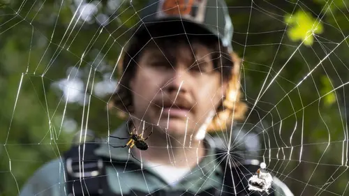 Creepshow S02E02 Dead and Breakfast / Pesticide