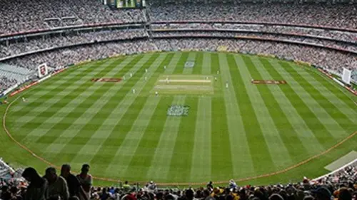 Cricket