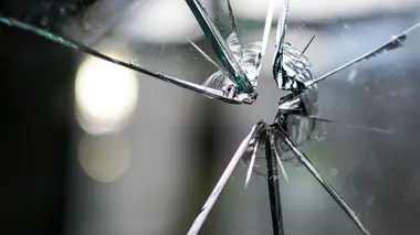 Mauvaises fréquentations