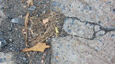 Coups de feu dans la nuit